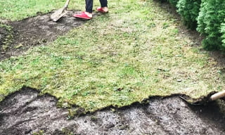 Снятие дерна старого газона в Пыть-яхе – от 523 руб. | 2Землекопа-Пть