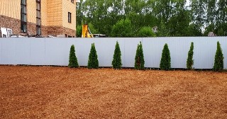 Отсыпка грунта Пыть-Ях, цена от 209 руб.